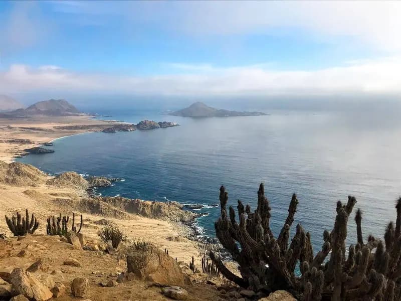 Parque Nacional Pan de Azúcar